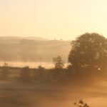 Tågen letter på Sundet - juni 2021