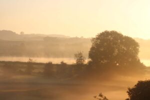 Tågen letter på Sundet - juni 2021