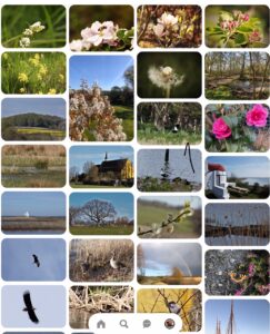 pinterest.dk/hjelholt