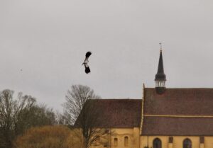 Vibe i luften på Sundet