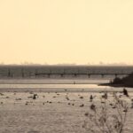 Nakkebølle Fjord - udsigt mod Øhavet