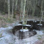 Frost på vandpytter