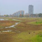 Novemberdis - Amager -2025